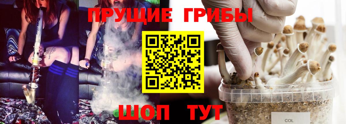 Псилоцибиновые грибы MAGIC MUSHROOMS  где можно купить   Вход с VPN  Саров  Псилоцибиновые грибы прущие грибы 